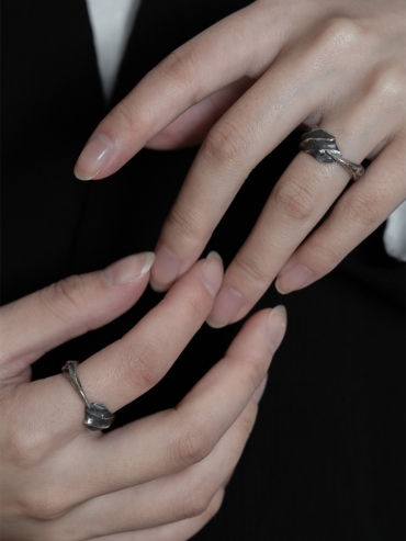 Wind collection silver ring