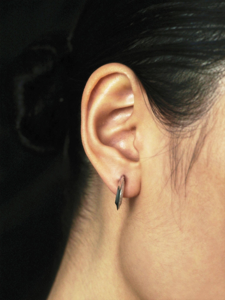 Gold The Guest Mini Earrings