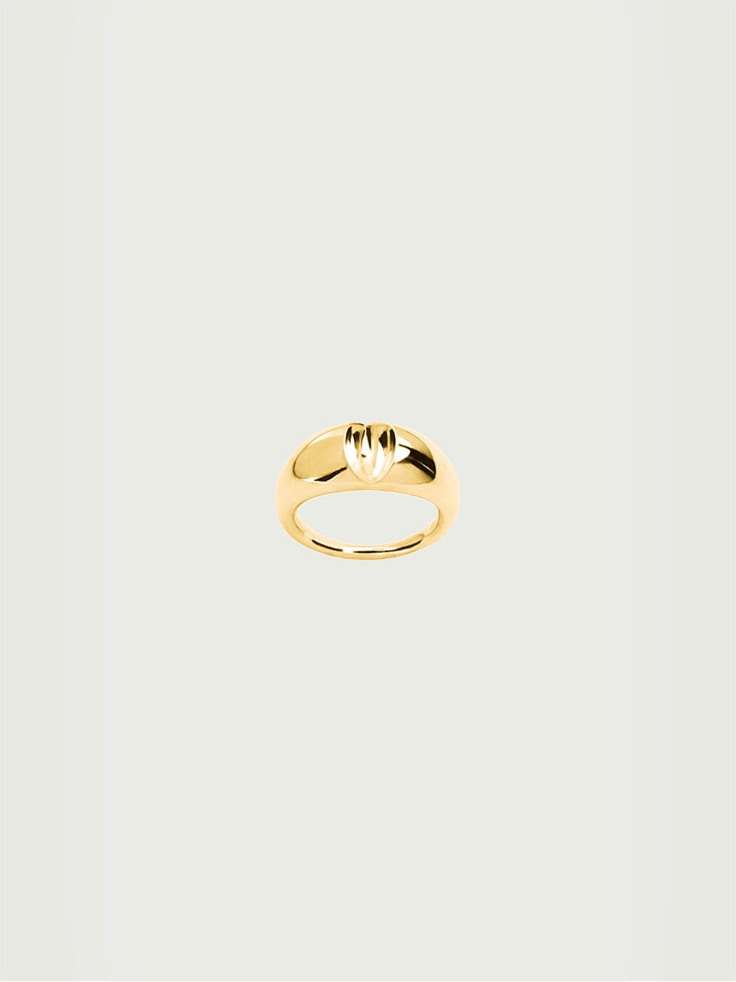 Gold Fruit Ring - Small