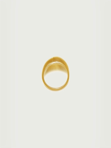 Gold Textured Shield Ring