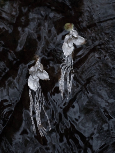 Silver leaf tassel earrings