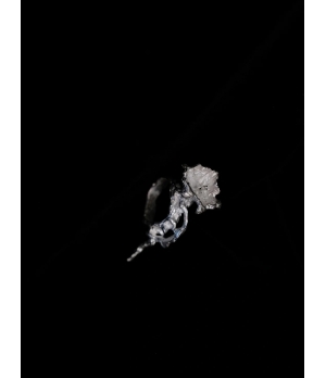 AOKINSIDE Silver Datura Ring