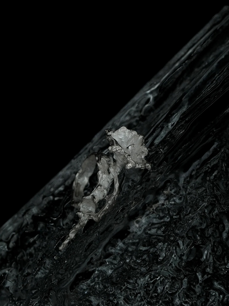 AOKINSIDE Silver Datura Ring