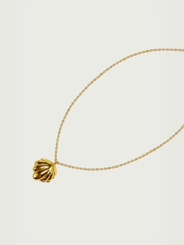 Amber shell necklace