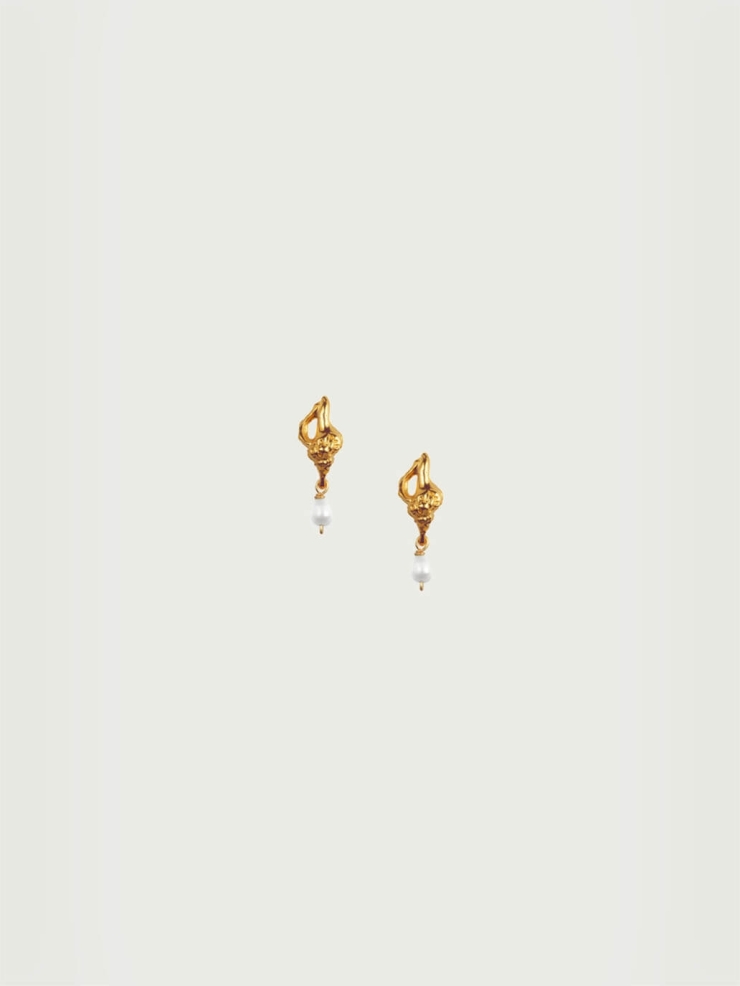 Gold Conchiglie Alle Vongole Earrings