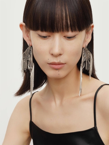 Sliver Glistening Earrings