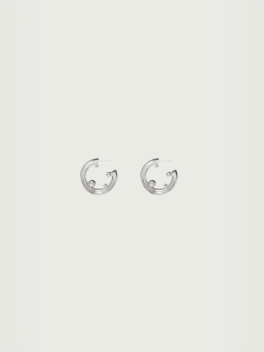 Sliver Small Spray Earrings