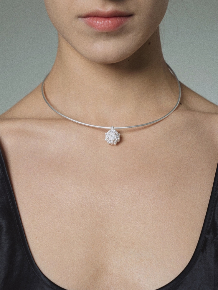 White coneflower silver collar