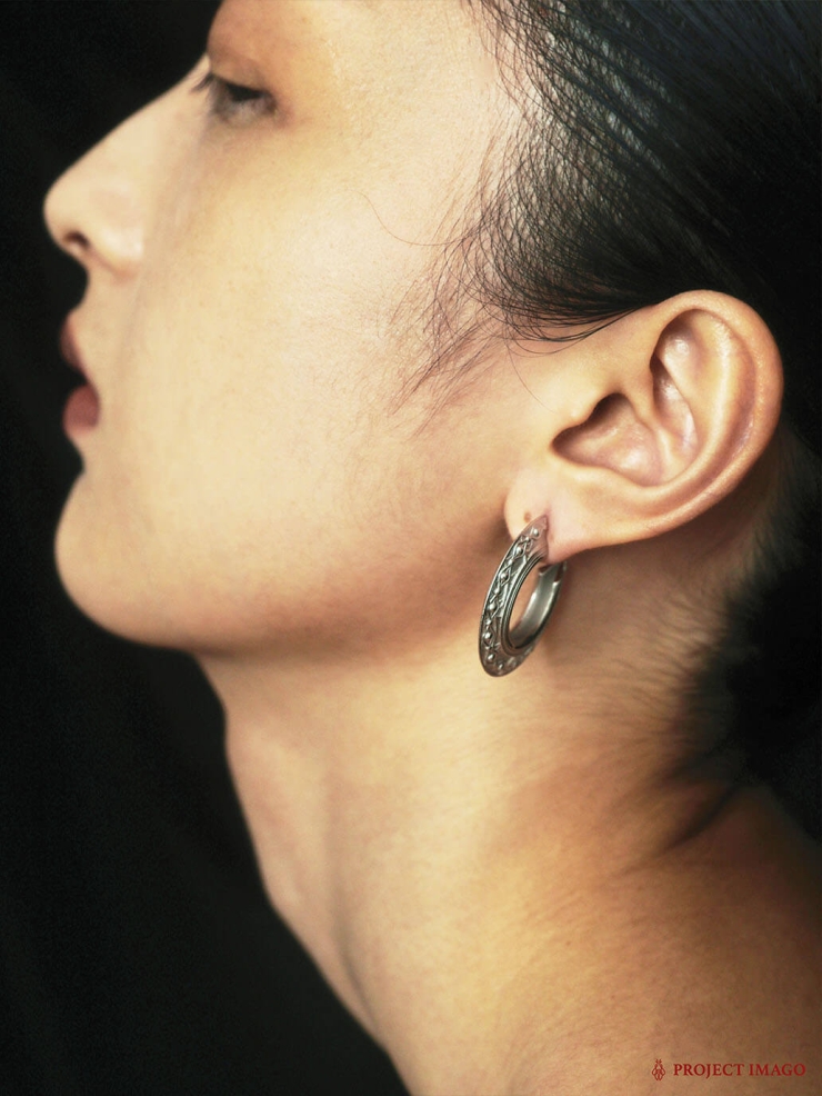 Gold The Guest Mini Earrings