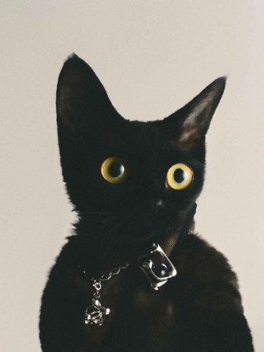 Silver Split Growing Irregular Sphere Necklace