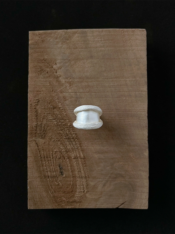 Tree hollow ring/ ear cuff