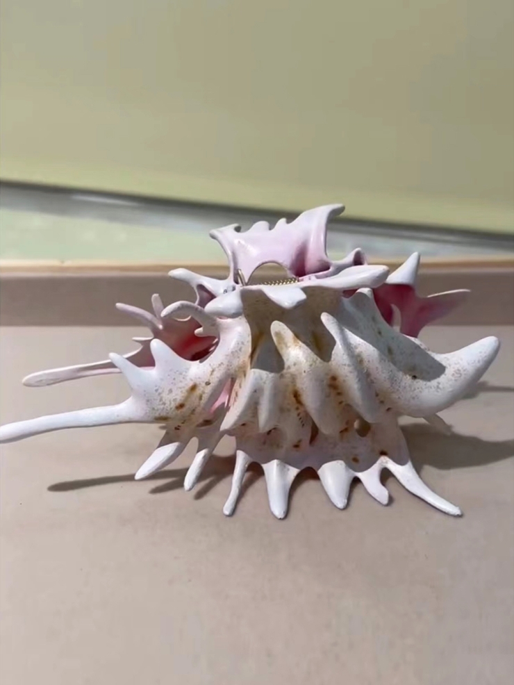 Ripple / Conch Hair Claw