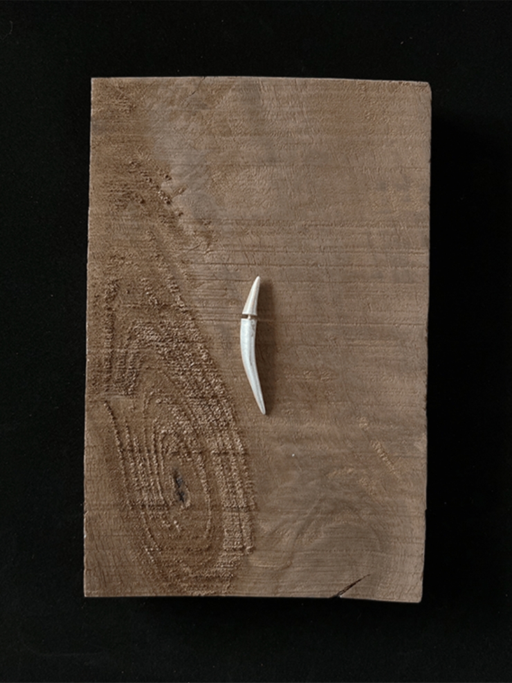 Short Silver Arc Sprout Earring-Single