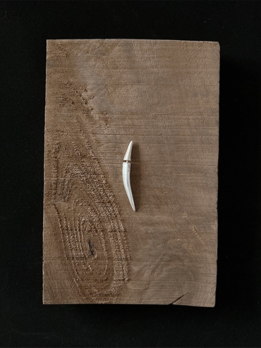 Short Silver Arc Sprout Earring-Single